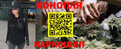 бошки Краснодар
