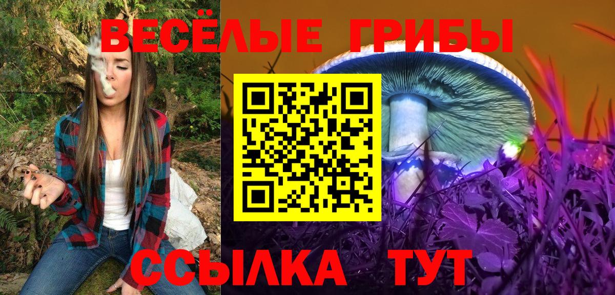 Галлюциногенные грибы Cubensis  где можно купить наркотик  Гусев  Вход с VPN 